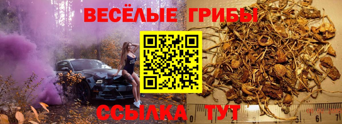 Псилоцибиновые грибы мухоморы Аргун