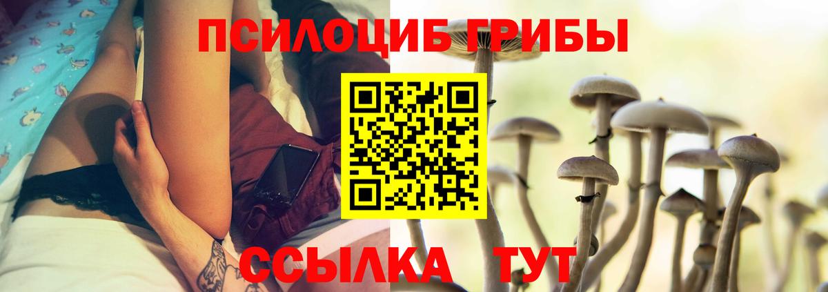 где купить наркоту  Вход с VPN  Аргун  Галлюциногенные грибы Magic Shrooms 